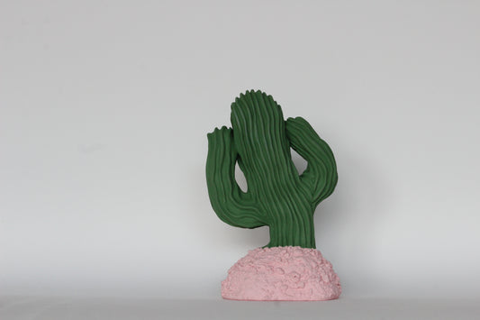 technicolor cactus